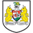 Bristol City icon