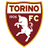 Torino icon
