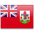 Bermuda icon