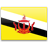 Brunei icon