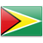 Guyana icon