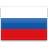 Russian Federation icon