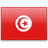 Tunisia icon