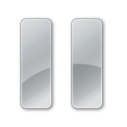 Pause Disabled Icon
