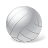 Volleyball Ball icon