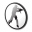 http://icons2.iconarchive.com/icons/iconshock/counter-strike/32/counterstrike-5-icon.png