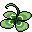Clover icon