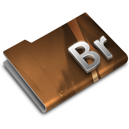 Adobe Bridge CS3 Overlay Icon