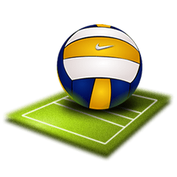 Volleyball Icon