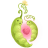 Peas Heart icon