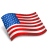 USA icon