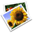http://icons2.iconarchive.com/icons/mcdo-design/cats-2/48/Pictures-icon.png