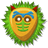 tropik icon