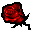 Red Rose icon