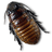 Caca Roach icon