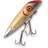 Fishing icon