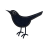 twitter bird 2 icon