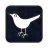 twitter bird2 square icon