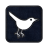 twitter bird3 square icon