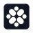 ziki square 2 icon