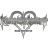 Kingdom Hearts Chain Of Memories Logo icon