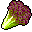 Leaf Lettuce icon