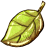 ele Forest icon