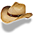 Hat cowboy straw icon
