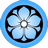 Blue Kikyo icon