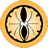 Gold Icho icon