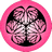 Pink Aoi icon