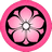 Pink Kikyo icon