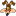 Wile E Coyote Smiling Icon 16x16px