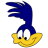 Roadrunner icon