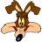 Wile E Coyote Smiling Icon 48x48px