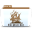 TPB Icon 32x32px