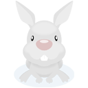 Rabbit Icon