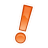 important icon