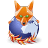 Firefox SZ icon