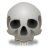 skull icon