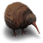 Kiwi Flightless Bird icon