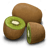 Kiwifruit icon